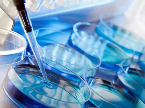 赴马试管要做好攻略