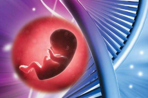 重庆哪些正规医院可以做试管婴儿? 重庆哪些正规医院可以做试管婴儿?