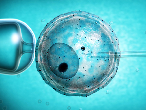 取卵后需要休息